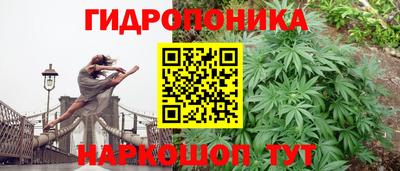 СК Наро-Фоминск